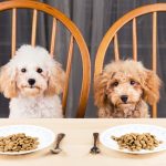 Top benefits of sending your kids to the preschool childcare centres