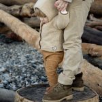 Some Ways to Avoid Bad Food Pet