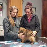 Optometrist Pickering- Things You Should Consider Before Selecting an Optometrist